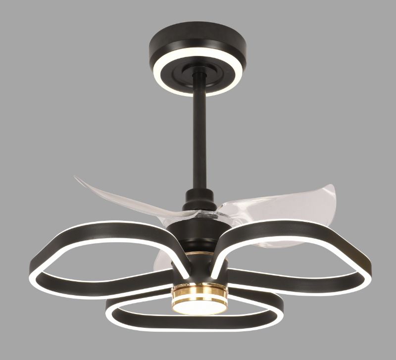 FAN LIGHT