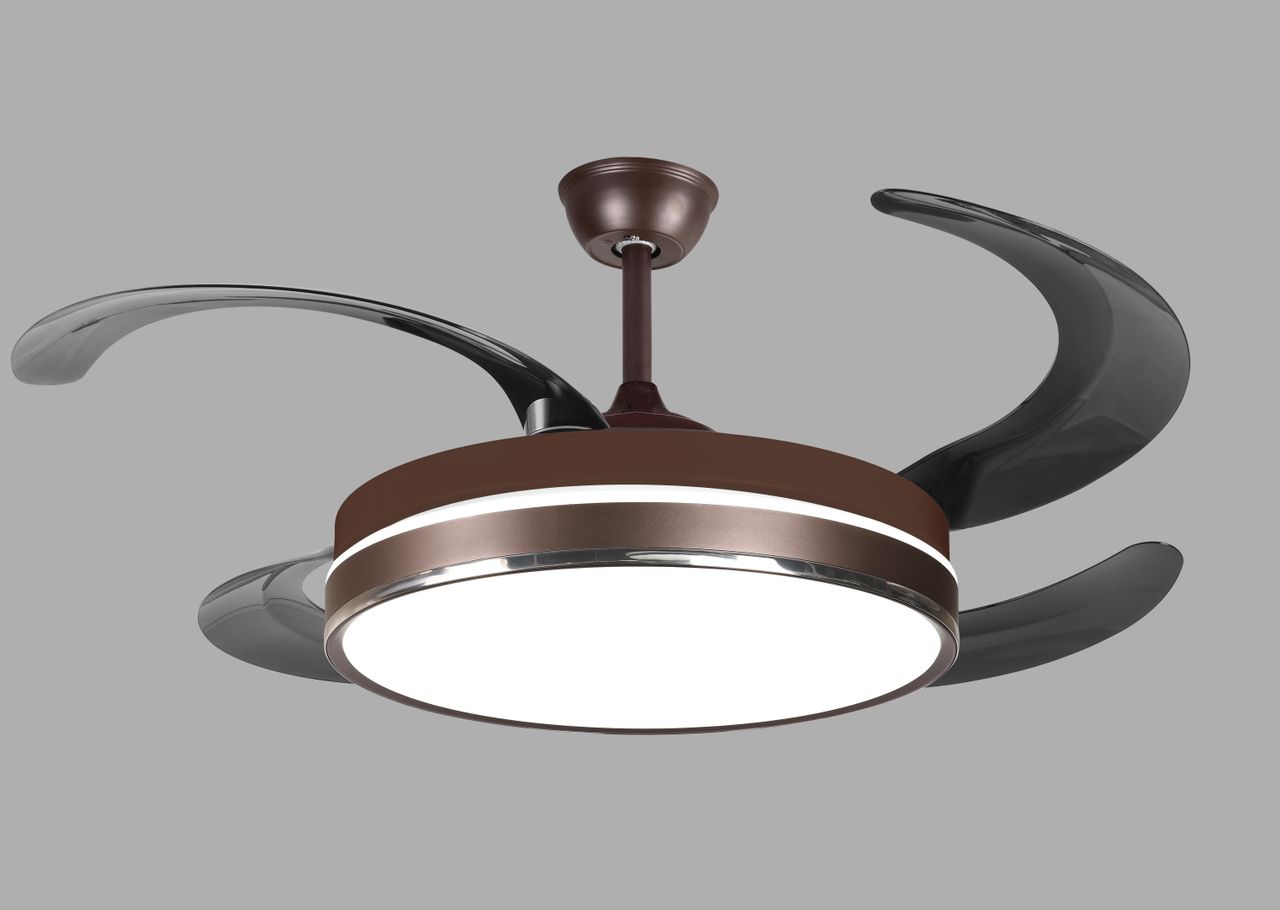 FAN LIGHT