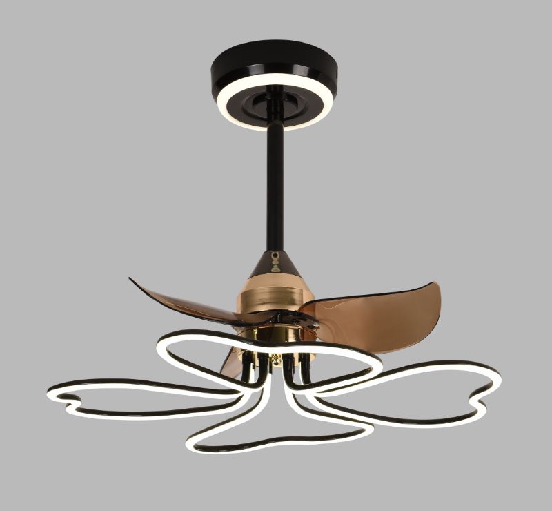 FAN LIGHT