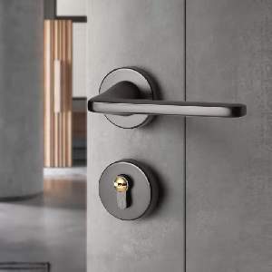 Grey Door Lock