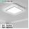 Ceiling Light