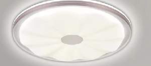 Ceiling Light