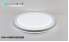 Ceiling Light