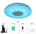 40Cm Ceiling Light