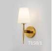 Wall Light